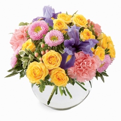 Spring Fling<br><b>FREE DELIVERY from Flowers All Over.com 